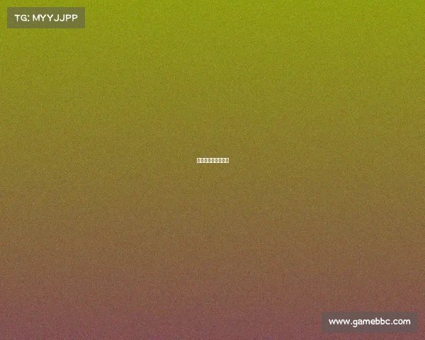 世界女排联赛节目表