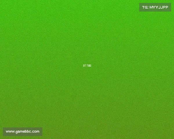 是11赛程 是11赛程